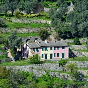 Olivari - La Lavanda Appartamento